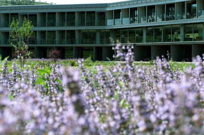 Hotel Mon Sant Benet Sant Fruitós de Bages Exterior foto